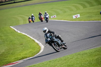 Lower Group Black Bikes